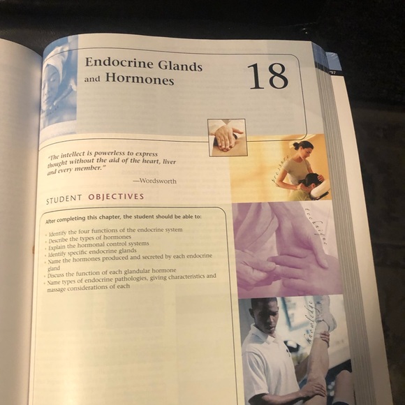 Massage Therapy: Principles and Practice by Susan Salvo Second Edition - Picture 10 of 14